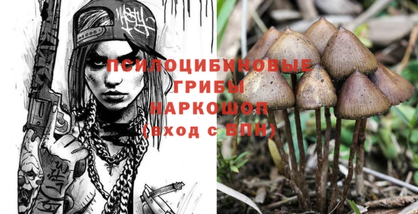 шишки Верхнеуральск