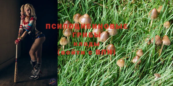 мескалин Верхний Тагил