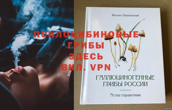 шишки Верхнеуральск